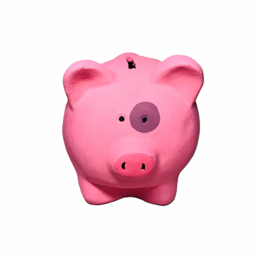 DIY Piggy Bank Painting Kit! 🐷